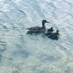 Meet your Posher, Hetal